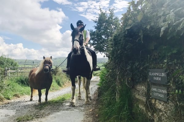 horse-friendly holidays in Capel Colman Cottages Pembrokeshire