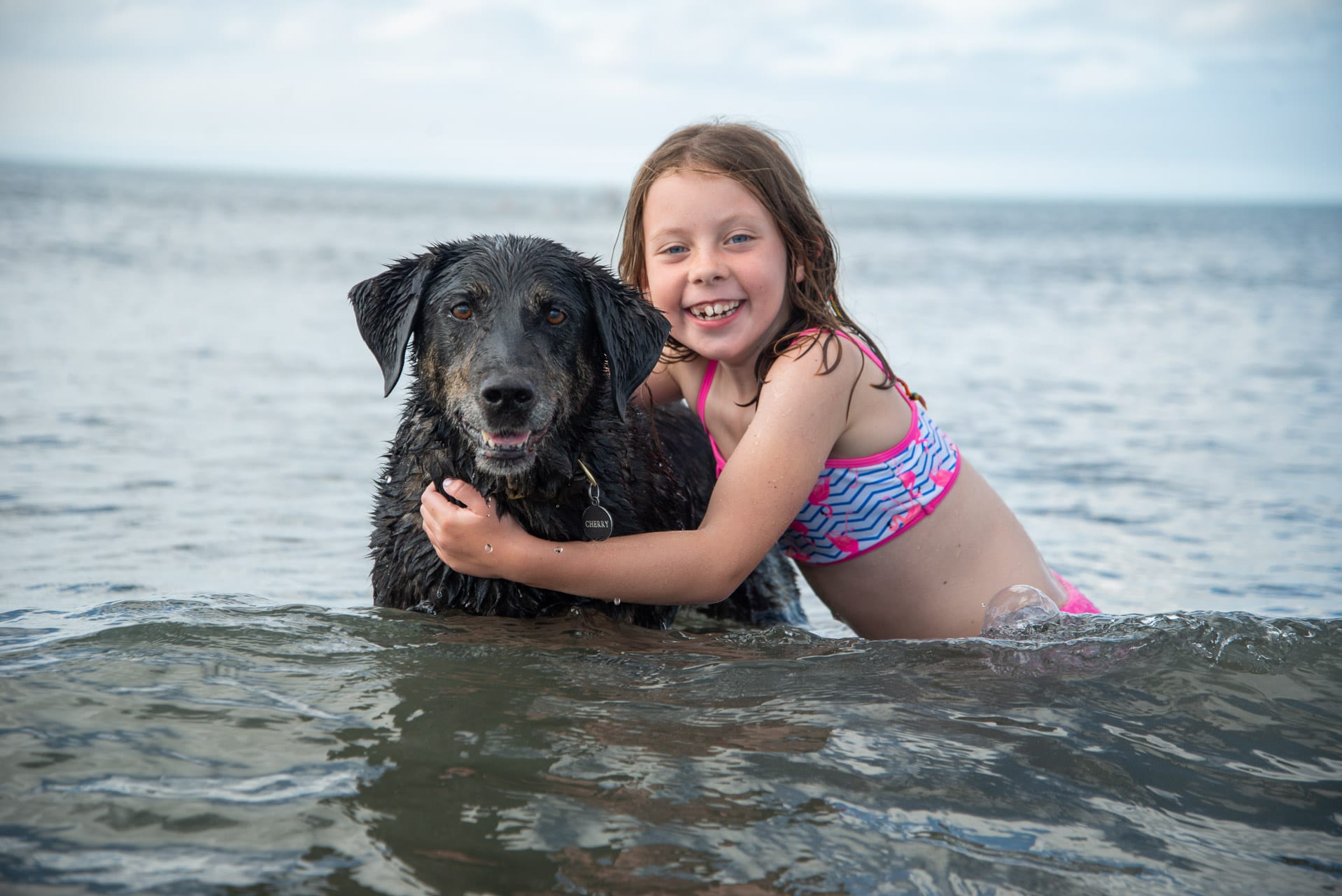 dog-friendly holidays in pembrokeshire